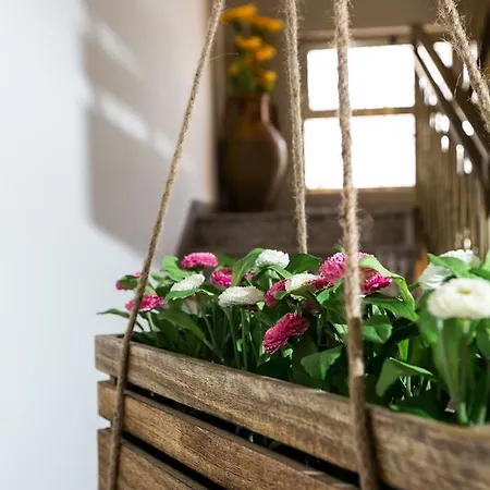 Amata Puglia Bed and breakfast 3*